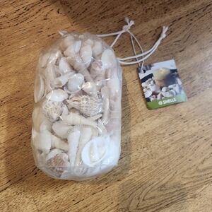 Bag of Assorted Seashells